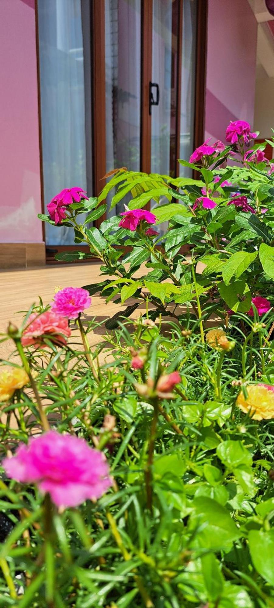 Ms Tri Homestay Hoi An Exterior photo